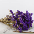 Factory price dried and herbs natural dried flowers dried edible flowers